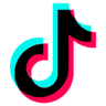 TikTok icon